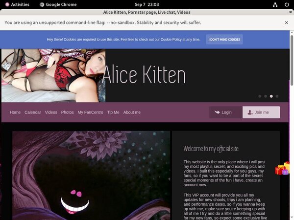 Alice Kitten Premium Passwords