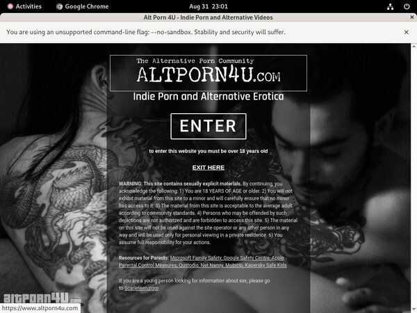 Altporn4u Premium Accounts Free