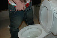 Boys-pissing.com Wire Payment s2