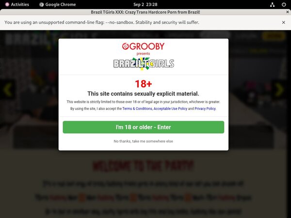 Brazil TGirls XXX Mail Order