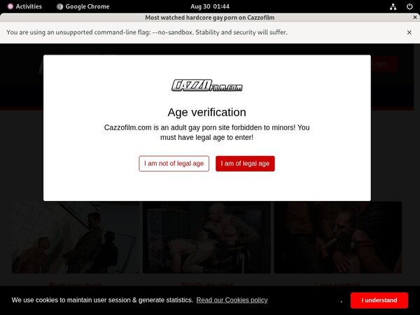 Cazzo Paysite Passwords