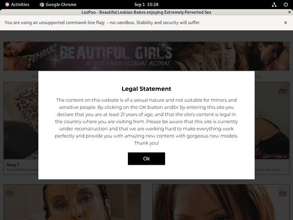 Discount Codes Lez Poo