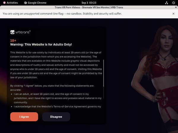 Does Vrbtrans Use Paypal?