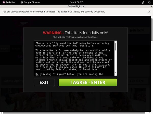 Evolvedfightslez Online