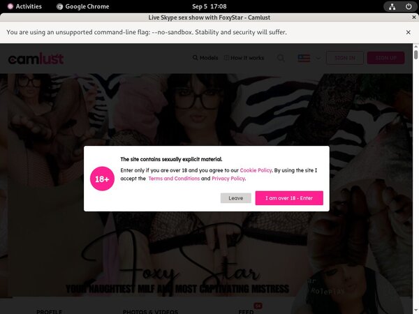 Foxy Star Promo Tour