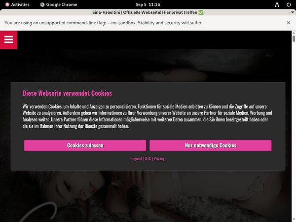 Free Accounts To Sina Valentini