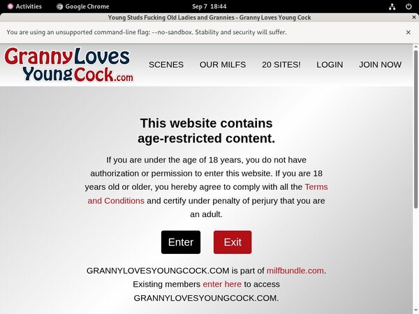 Free Granny Loves Young Cock Id And Password
