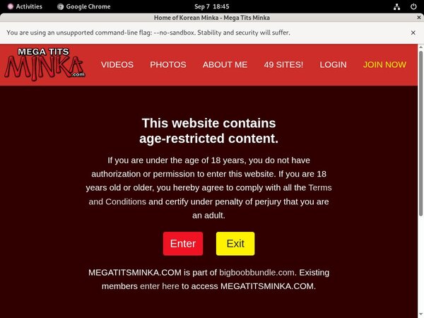 Free Trial For Megatitsminka.com