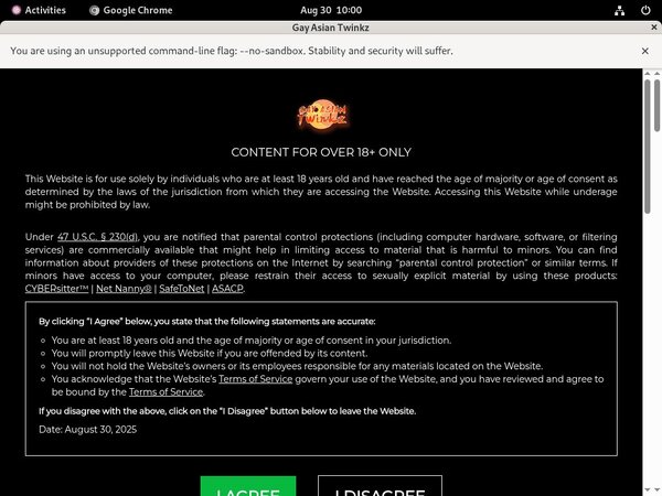 Gayasiantwinkz.com With Euros