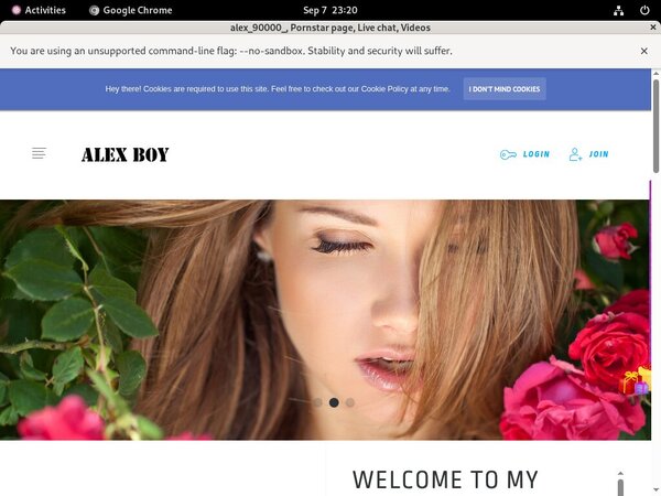 Get Free Alex90000.modelcentro.com Passwords
