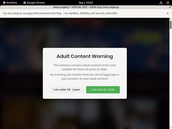 Hello Ladyboy Pornhub