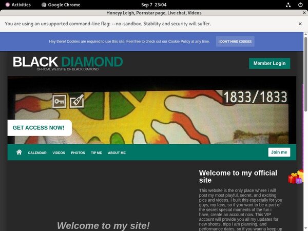 Honeyy Leigh Daily Accounts