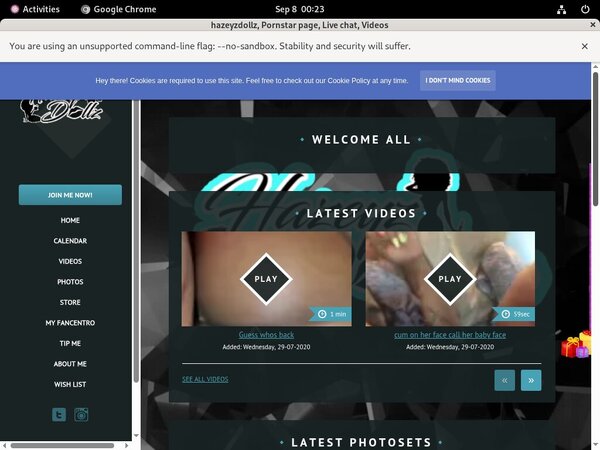 How Much Does Hazeyzdollz.com Cost