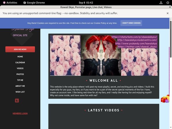 Kawaii Skye Bezahlen