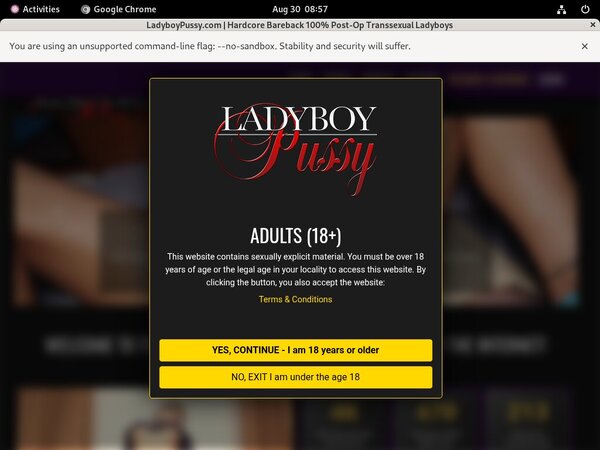Ladyboy Pussy Clip Cash