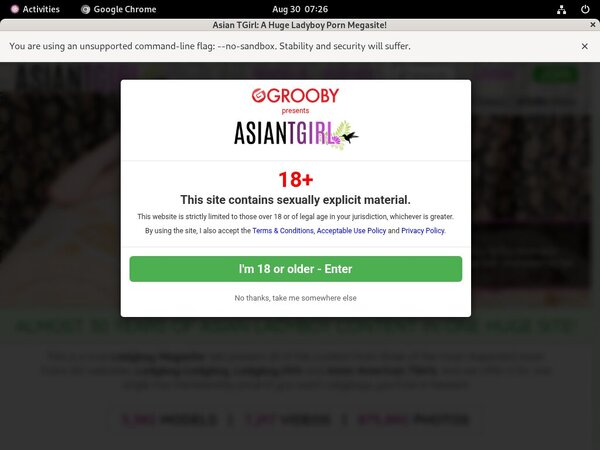 Ladyboy-ladyboy.com Automatische Incasso