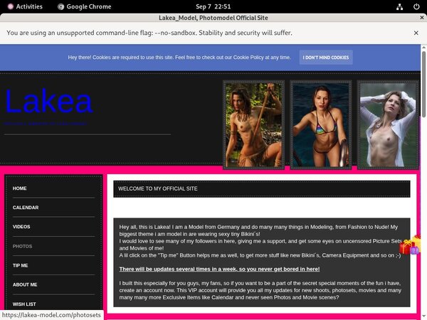 Lakea-model Trial For Free