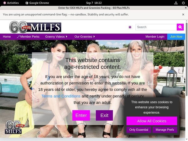 MILFs Plus 60 Free Passwords