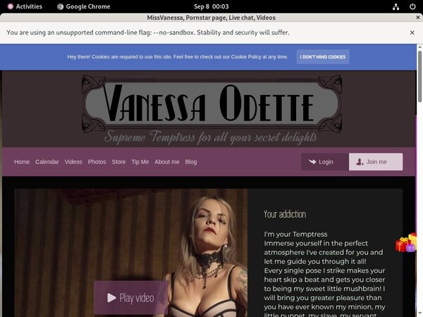 Missvanessa.modelcentro.com Premium Account Login