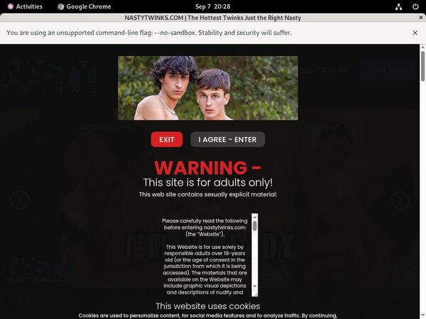 Nastytwinks 2018