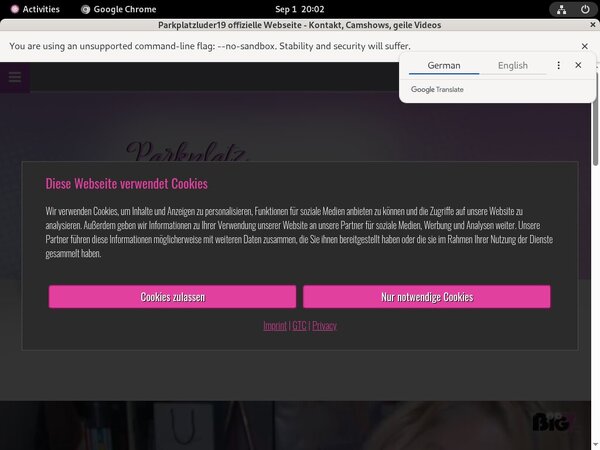 Parkplatzluder19 Checkout Page