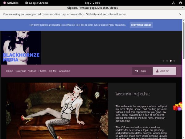 Password To Gigixxxs