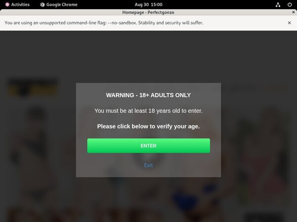 Perfect Gonzo Working Passwords