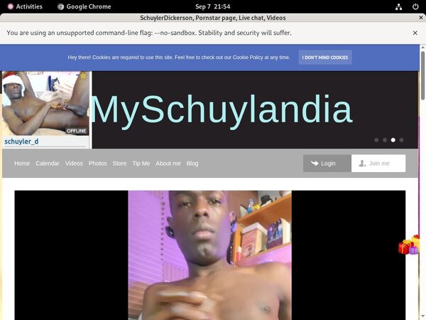 SchuylerDickerson Limited Discount