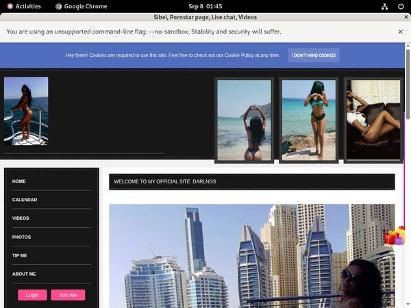 [Image: Sibel-Id-Password.jpg]