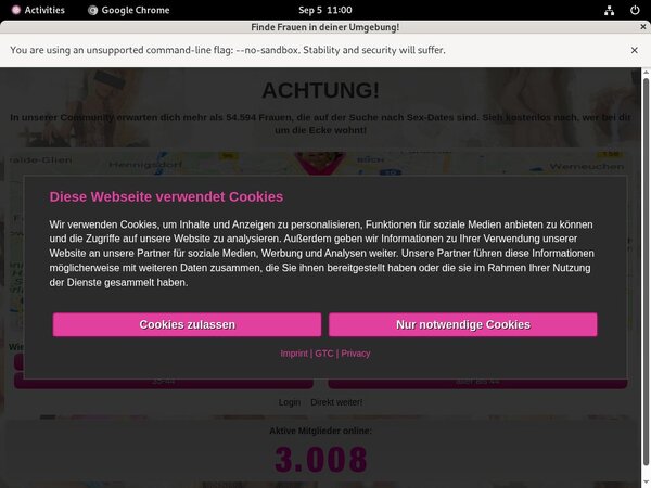 SweetGirl19 Hack Login