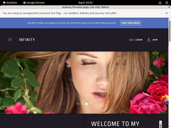 Tdelightxgmailcom.modelcentro.com Billing