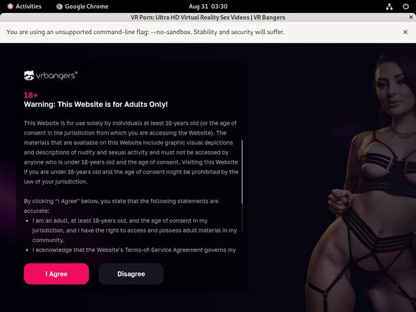 Vrbangers Free Account Passwords