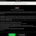 Who Is Workinmenxxx.com