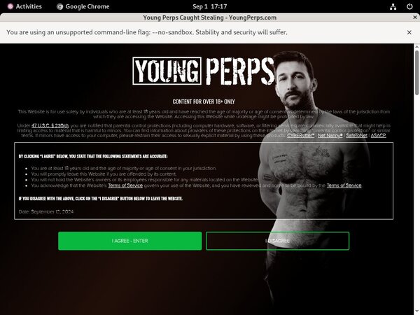 Young Perps Gay Sex