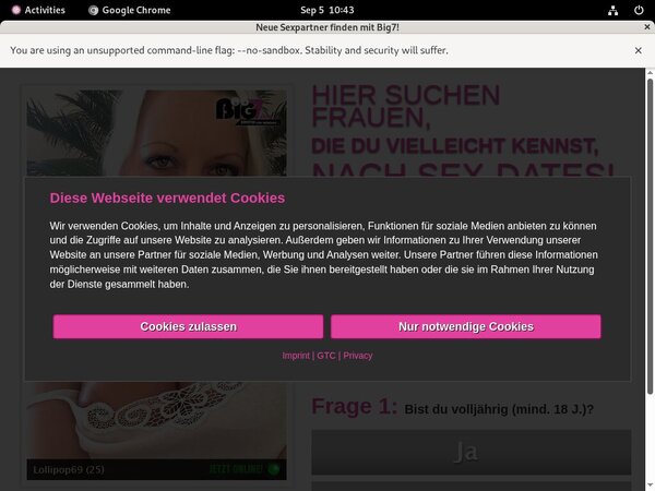 Your Secret Dream Site Review