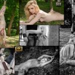 Subspace Land Reviews